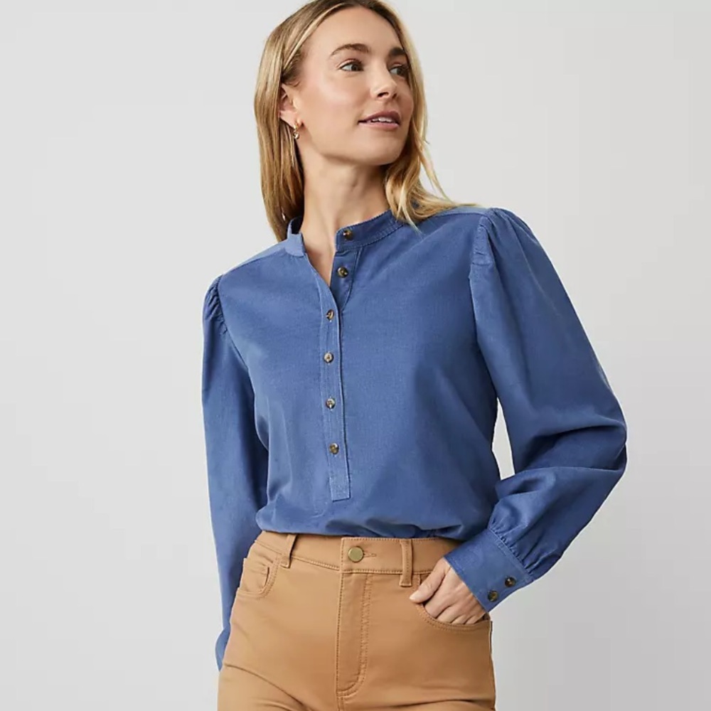 Ann Taylor Puff Sleeve Popover